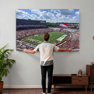 Georgia Bulldogs Stadium Wall Art Canvas Print, Sanford