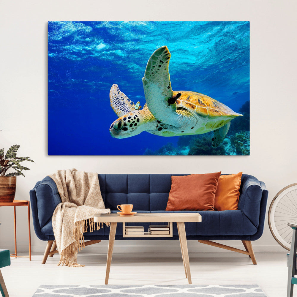 Sea Turtle Wall Art Canvas Print, Sea life in the Ocean Wall