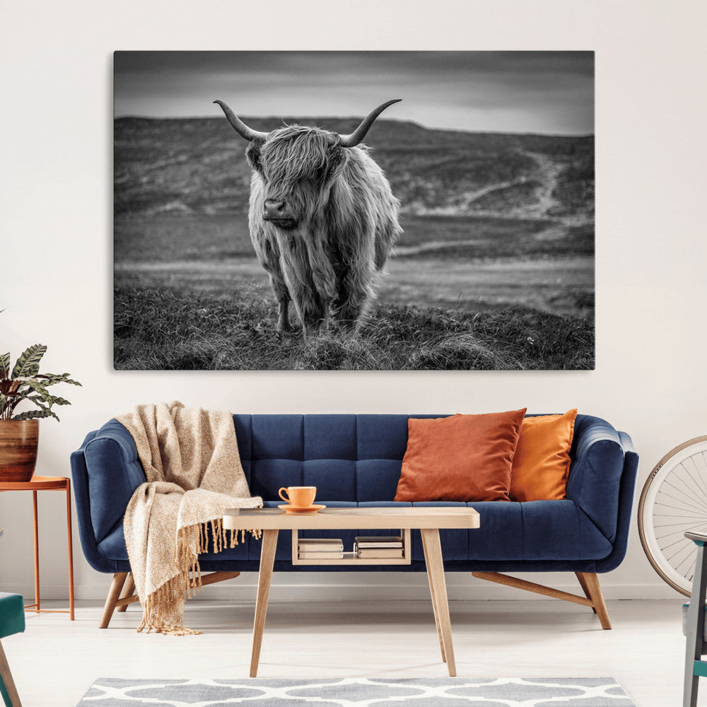 Fluffy Cattle Wall Art Print, Highland Cow Canvas, Framed