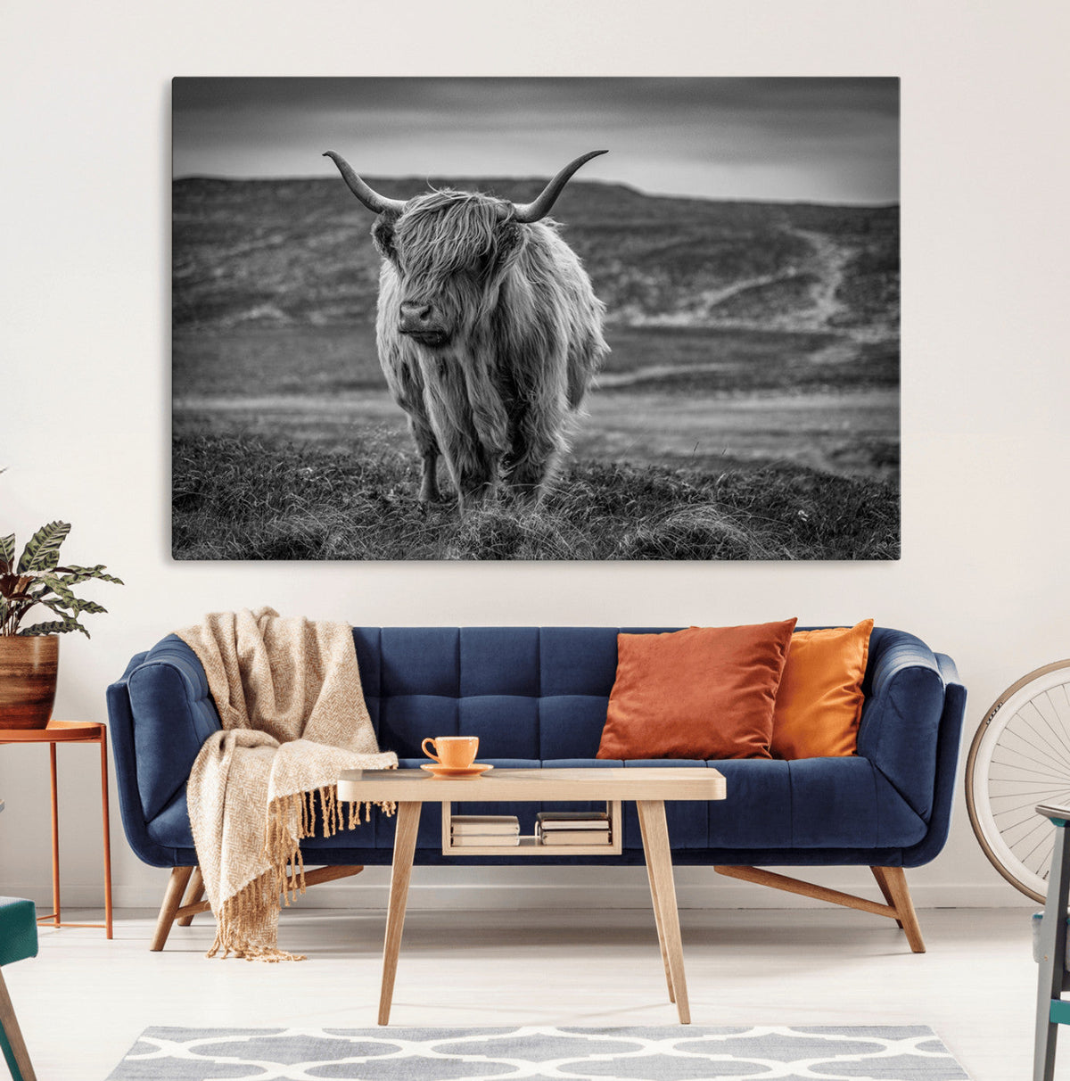 Fluffy Cattle Wall Art Print, Highland Cow Canvas, Framed
