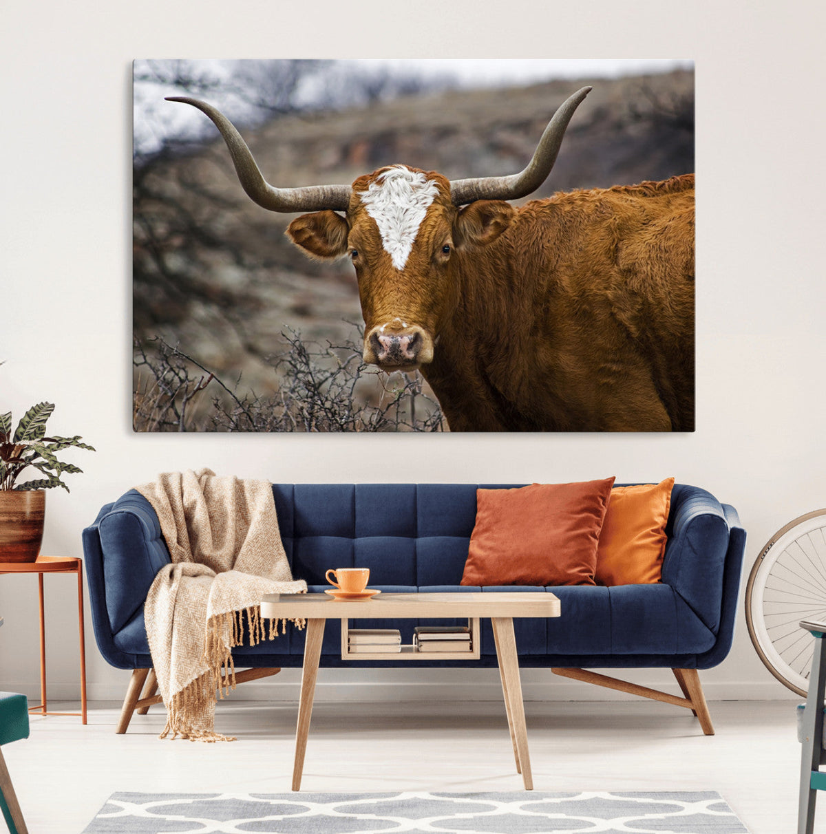 Texas Longhorn Canvas Wall Art - Longhorn Steer Canvas Wall