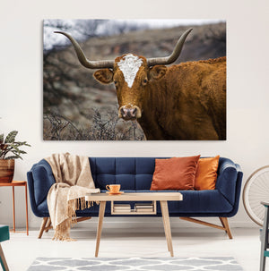 Texas Longhorn Canvas Wall Art - Longhorn Steer Canvas Wall