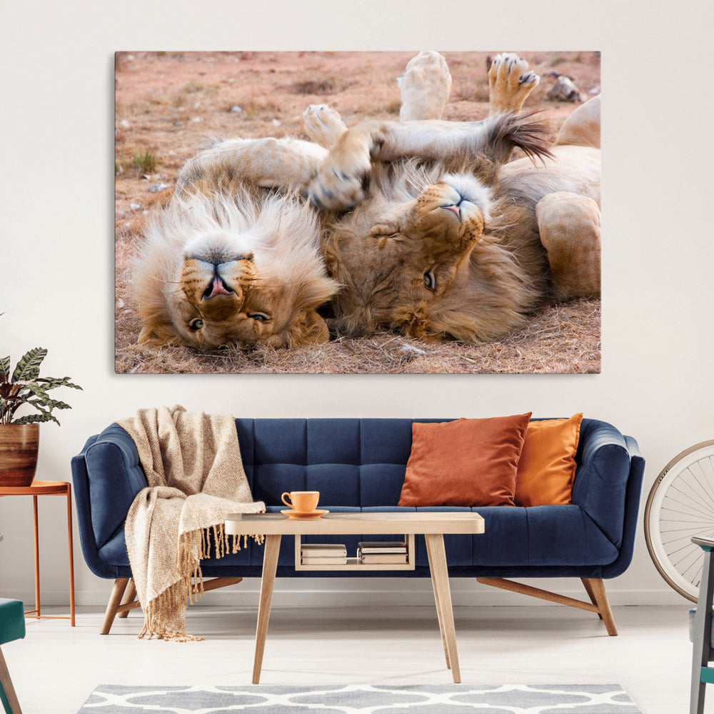 Lion Pair Wall Art Canvas Print – Framed Wildlife Scene with
