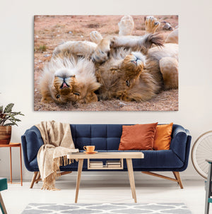 Lion Pair Wall Art Canvas Print – Framed Wildlife Scene with