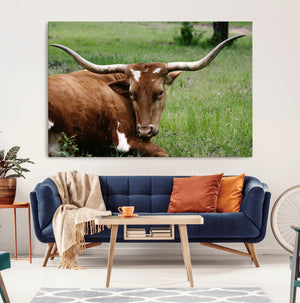 Longhorn Cow Animal Wall Art Canvas Print