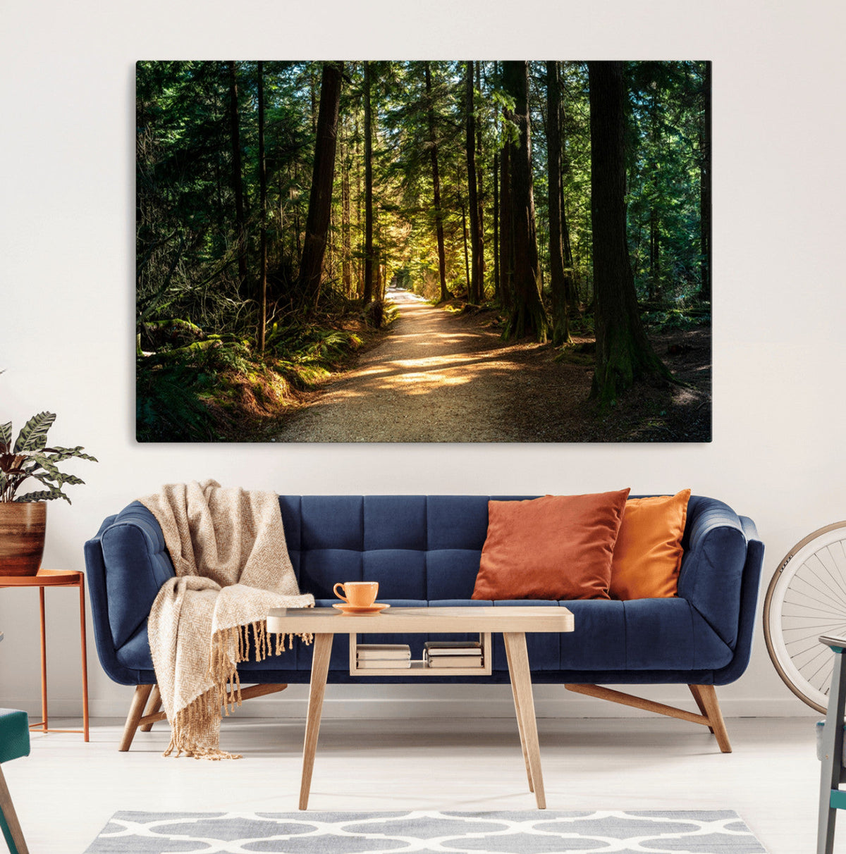 Sunlit Forest Pathway Canvas Print | 3 Panel Large Nature
