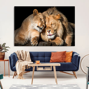 Lion and Lioness Wall Art Canvas Print – Framed African