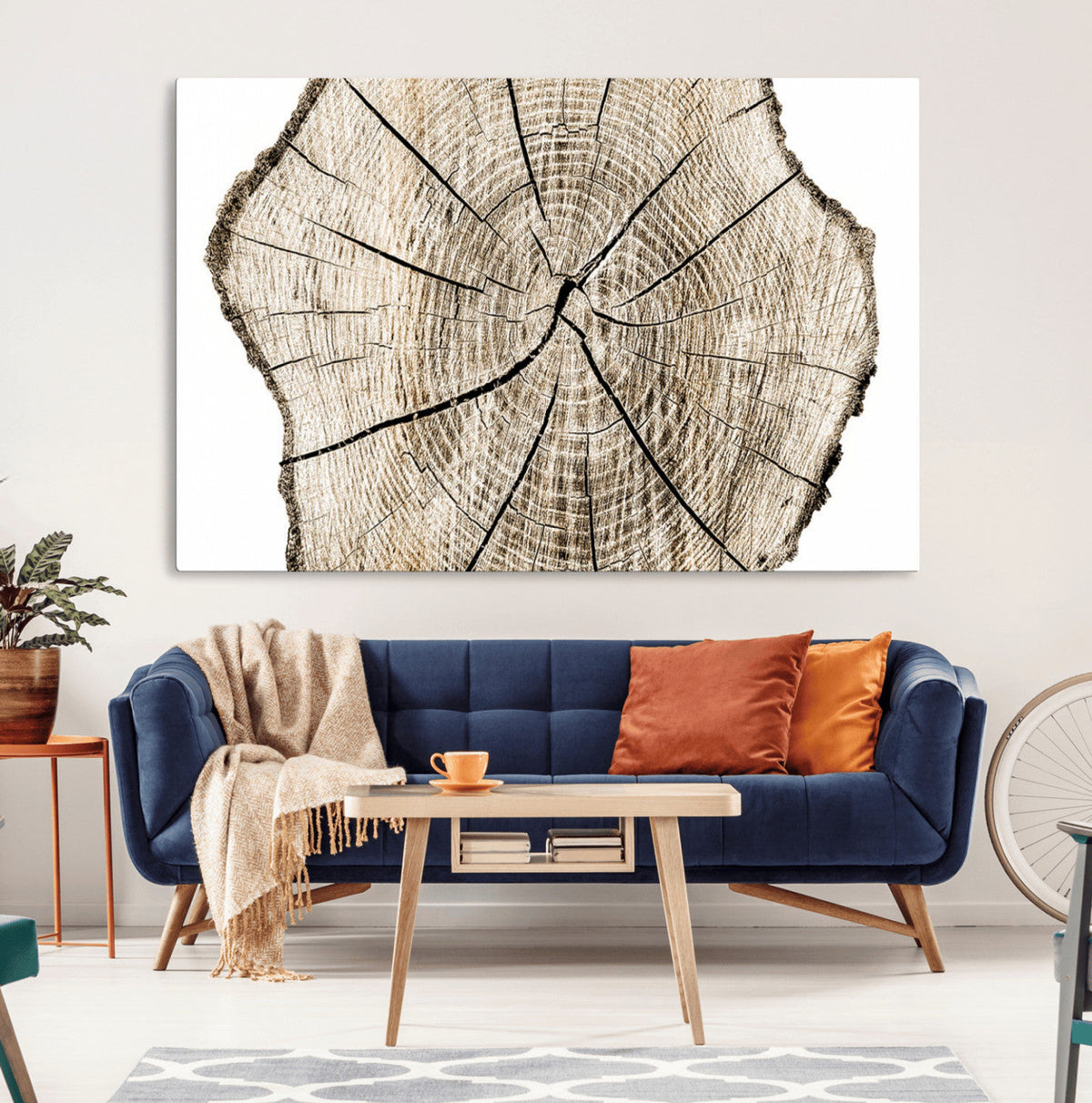 Abstract Wood Tree Ring Wall Art - Ready to Hang Minimalist