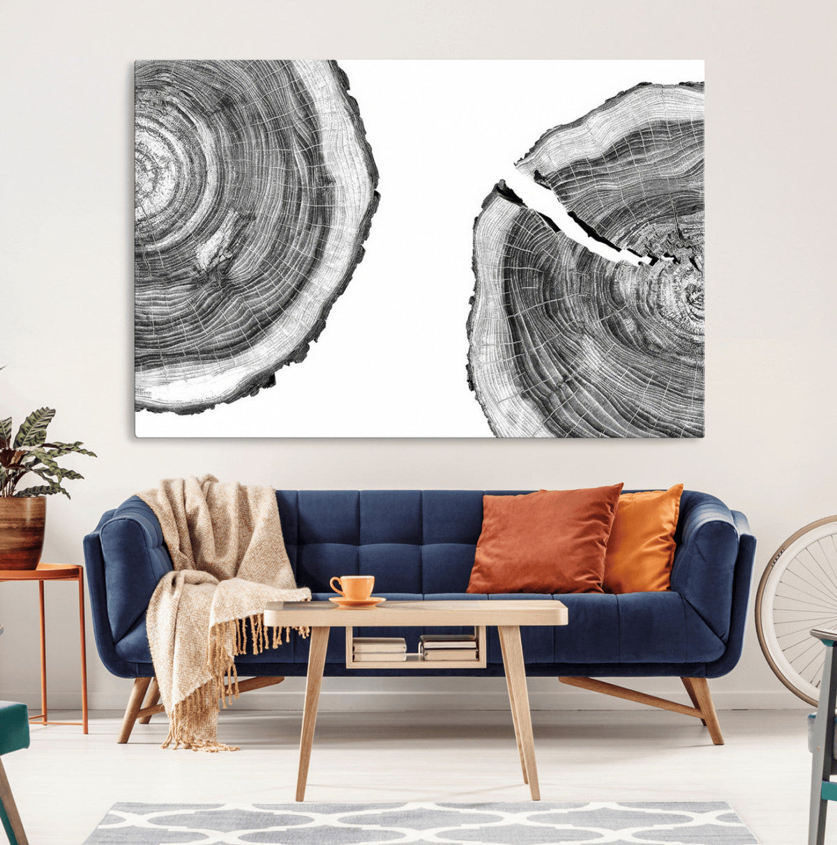 Abstract Large Tree Rings – Minimalist Black and White Wood