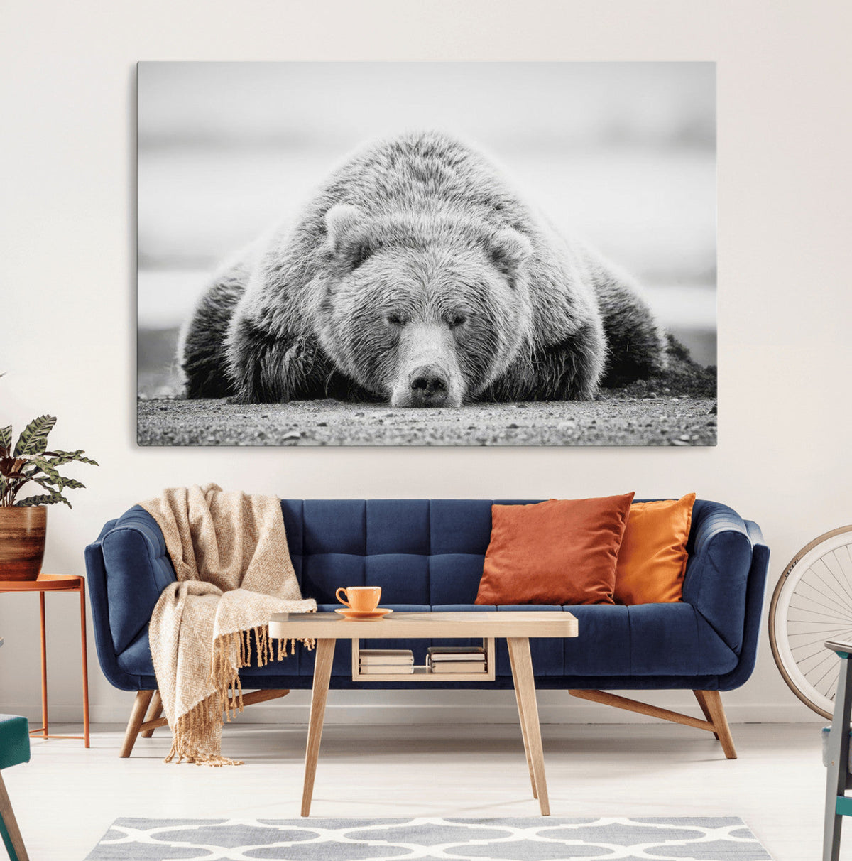 Resting Grizzly Bear Wall Art Canvas Print – Majestic Lazy
