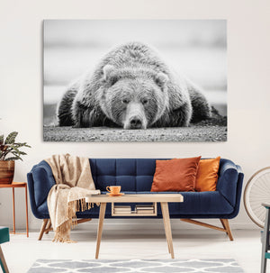 Resting Grizzly Bear Wall Art Canvas Print – Majestic Lazy