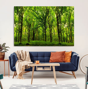 Lush Green Forest Canvas Print | 3-Panel Forest Wall Art |
