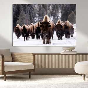 Bison Wall Art Canvas Print- Bison Herd Canvas Wall Art –