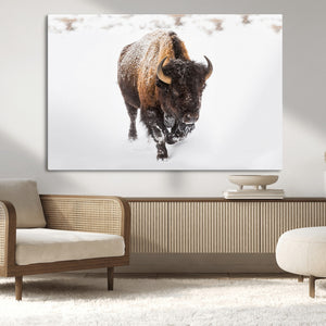 Bison Winter Wall Art Canvas Print For Farmhouse Decor
