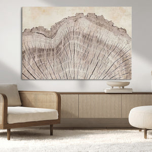 Tree Ring Wall Art Triptych, Rustic Wood Ring Canvas Print,