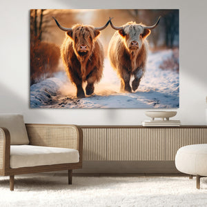 Scottish Highland Cow Horn Farm Wall Art Canvas Print