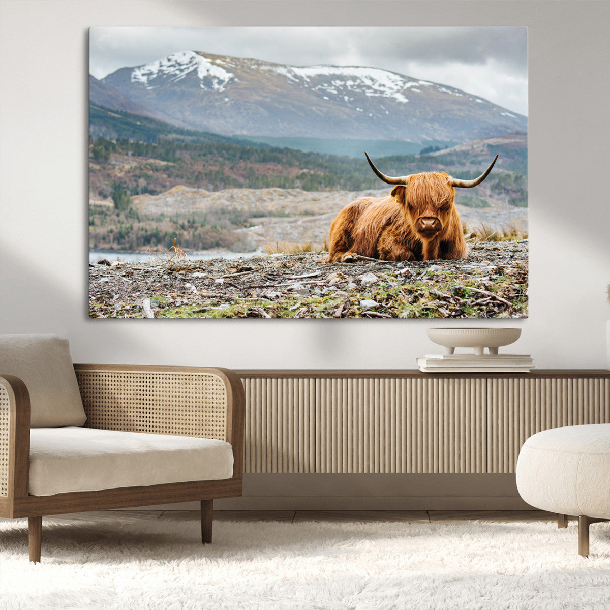 Highland Cow Horn Farm Wall Art Canvas Print