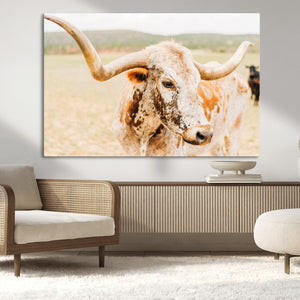 Texas Longhorn Wall Art Canvas Print – Framed Spotted Cow