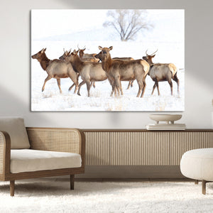 Winter Elk Scene Wall Art Canvas Print – Framed Wildlife