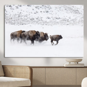 Bison Herd Decor Wall Art Canvas Print – Framed Snowy Bison