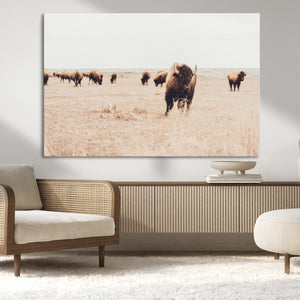 Bison Herd Wall Art Canvas Print, Framed Western Landscape