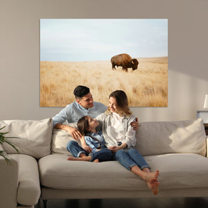 Buffalo Wall Art Canvas Print – Framed Western Wildlife