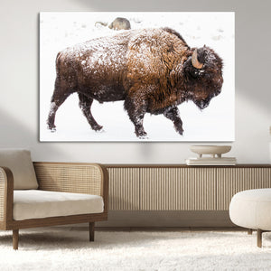 Snowy Buffalo Wall Art Canvas Print – Framed Wildlife