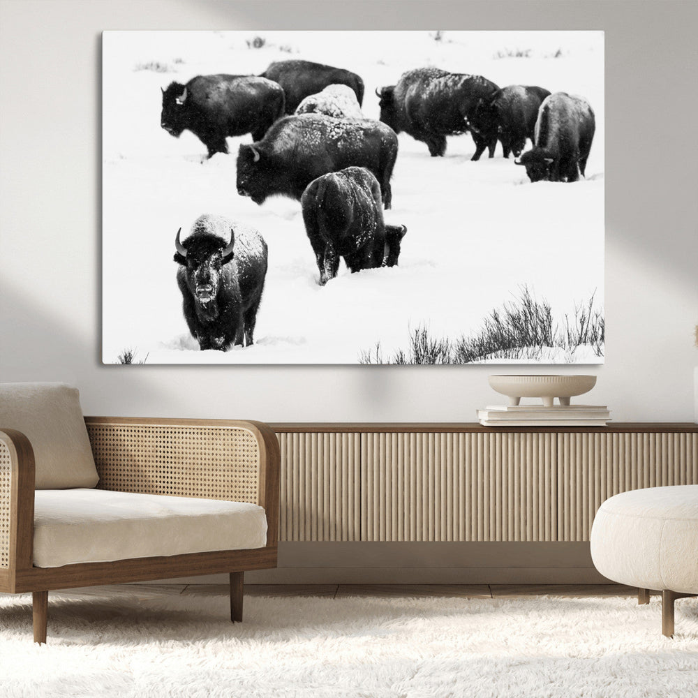 Buffalo Herd Wall Art Canvas Print – Framed Black and White