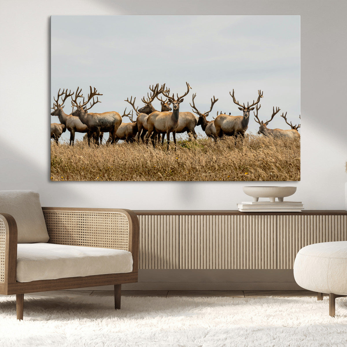 Elk Herd Wall Art Canvas Print – Framed Wildlife Photography