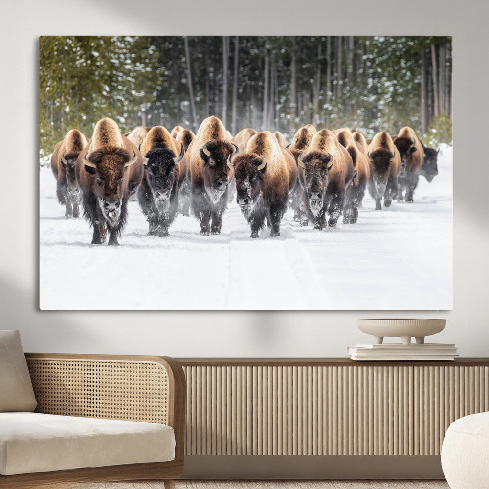 American Bison Herd Wall Art Canvas Print – Powerful Winter