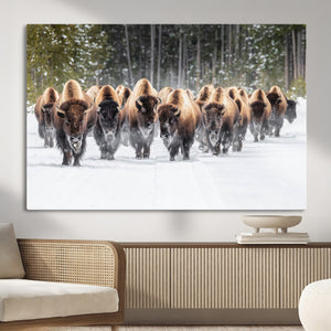 American Bison Herd Wall Art Canvas Print – Powerful Winter