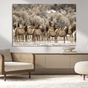Majestic Elk Herd Winter Canvas, Elk Herd Winter Landscape