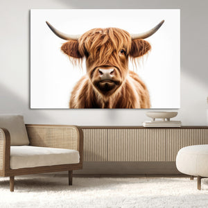 Scottish Highland Cow Canvas Print, Framed Highland Cow