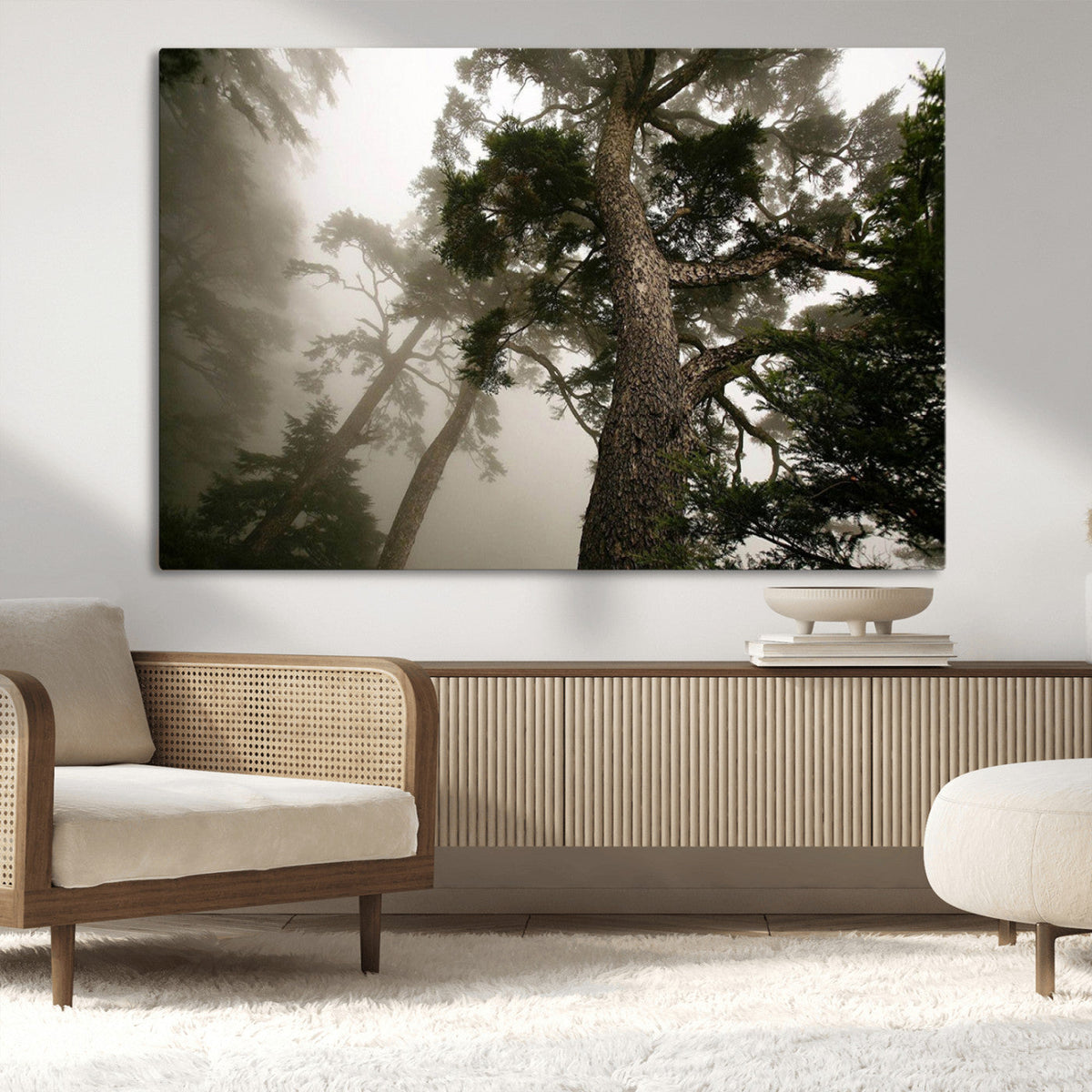 Misty Forest Wall Art Canvas Print, Tall Trees and Foggy