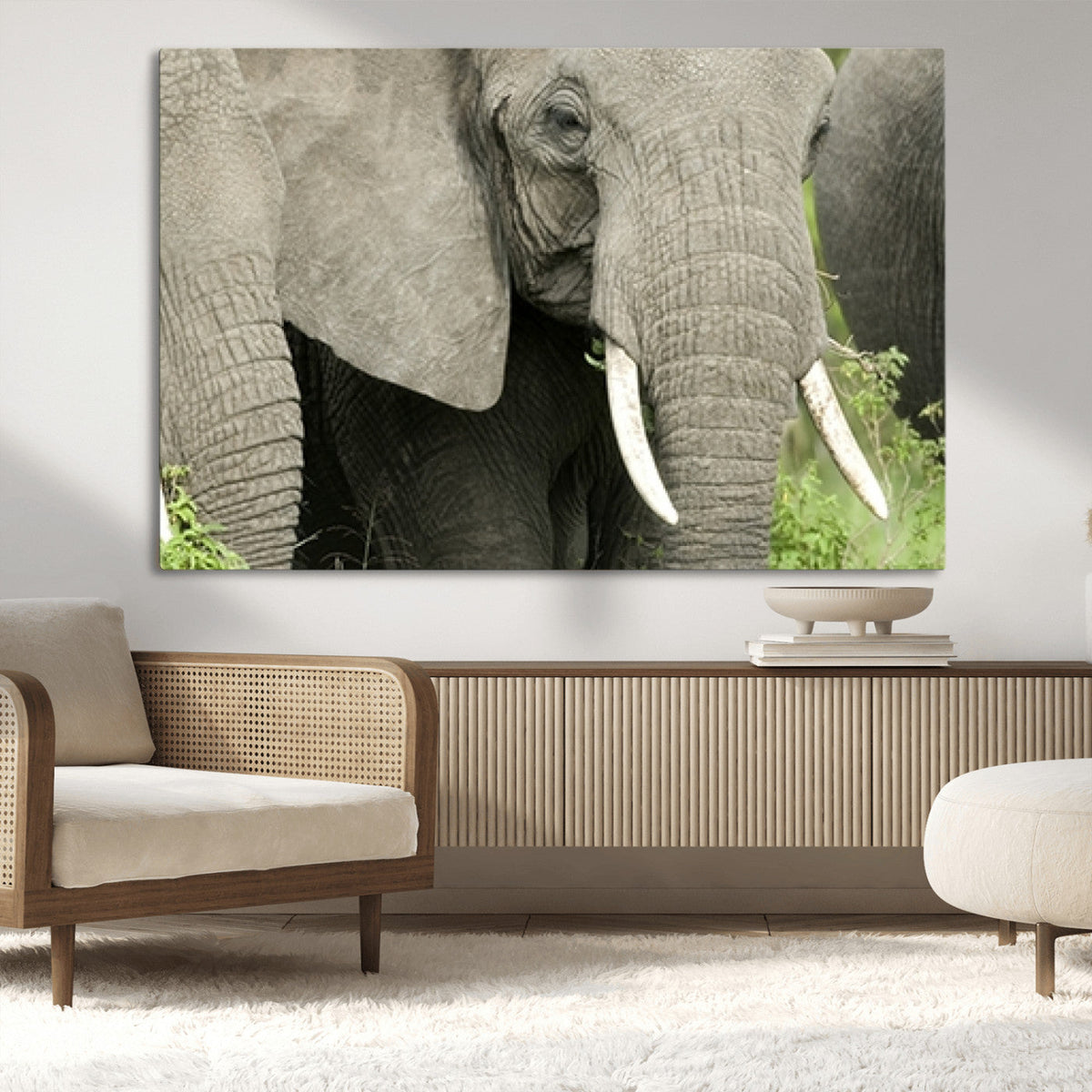Wild Elephant Wall Art Canvas Print