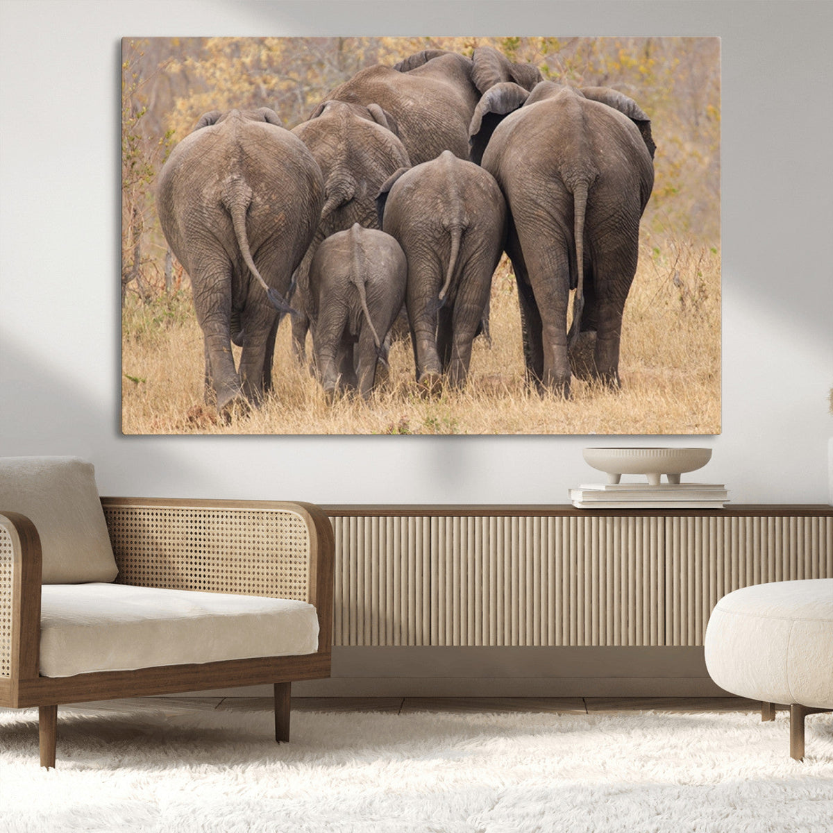 Wild Elephant Wall Art Canvas Print