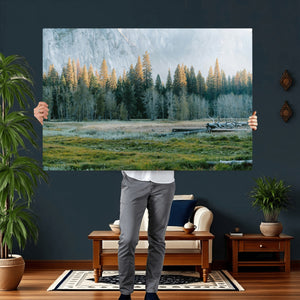 Forest Meadow Wall Art Canvas Print, Pine Tree Landscape