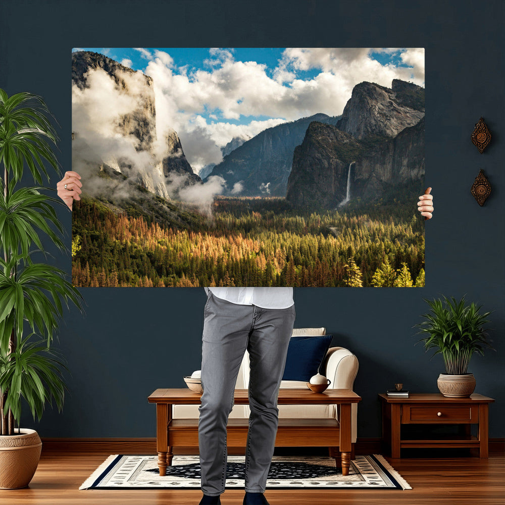 Yosemite Valley River Wall Art Canvas Print