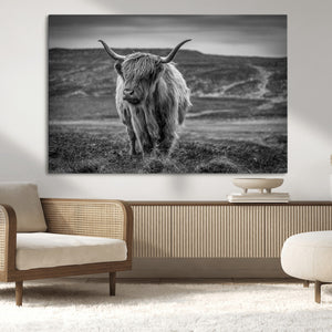 Fluffy Cattle Wall Art Print, Highland Cow Canvas, Framed