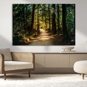 Sunlit Forest Pathway Canvas Print | 3 Panel Large Nature