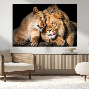 Lion and Lioness Wall Art Canvas Print – Framed African