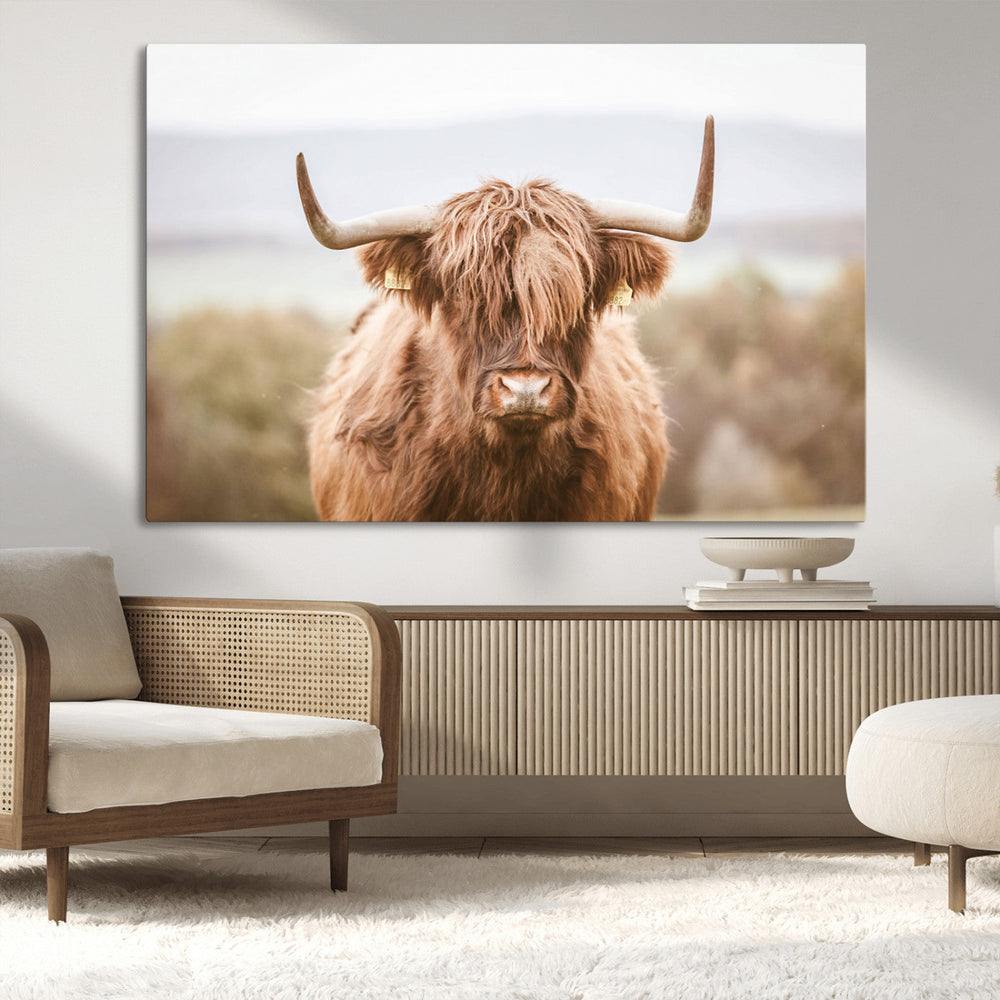 Scottish Serene Highland Cow Canvas Wall Art – Serene