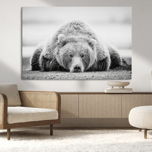 Resting Grizzly Bear Wall Art Canvas Print – Majestic Lazy