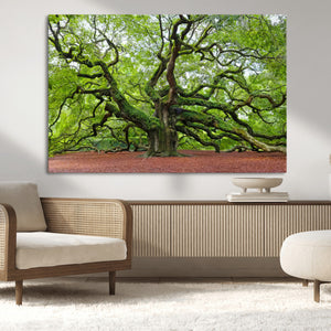 Framed Angel Oak Tree Wall Art - 3-Panel Canvas Prints,