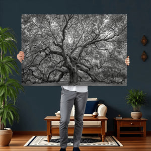 Majestic Angel Oak Tree Black and White Canvas Print – Multi