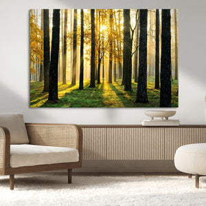 Sunlit Forest Wall Art Canvas Print – Large Framed Woodland
