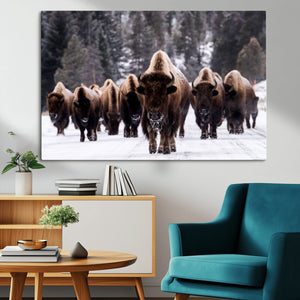Bison Wall Art Canvas Print- Bison Herd Canvas Wall Art –