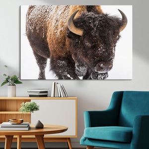 Bison Wall Art Canvas Print For Farmhouse, Wild Animal Wall