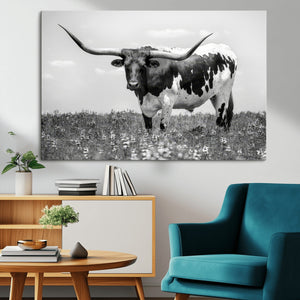 Texas Black White Highland Longhorn Cow Wall Art Canvas