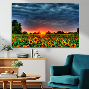 Golden Sunflower Field at Sunset – Breathtaking Sky and